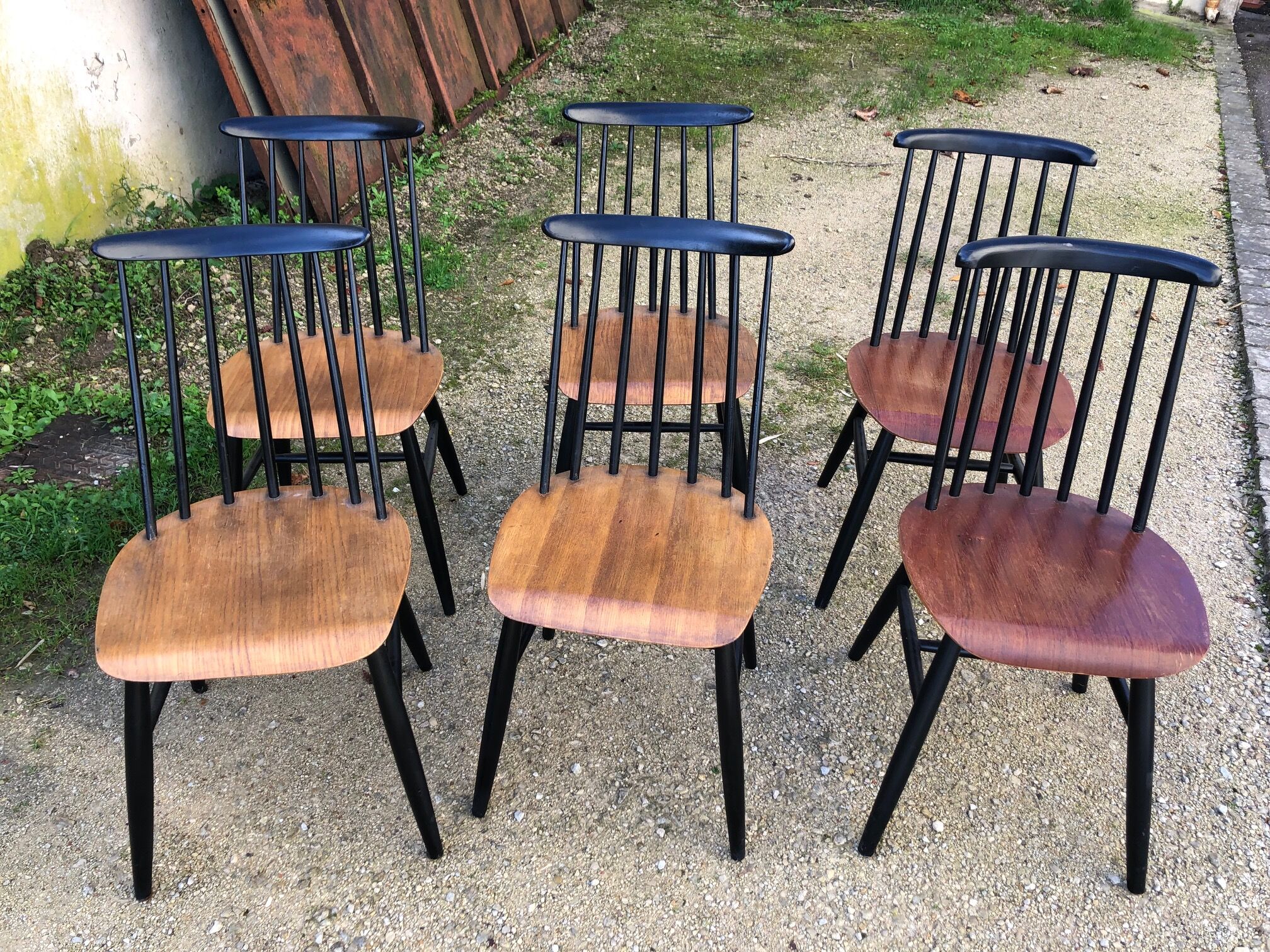 6 chairs fanett by Ilmari Tapiovaara