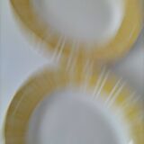 Digoin Sarreguemines plates model 9611