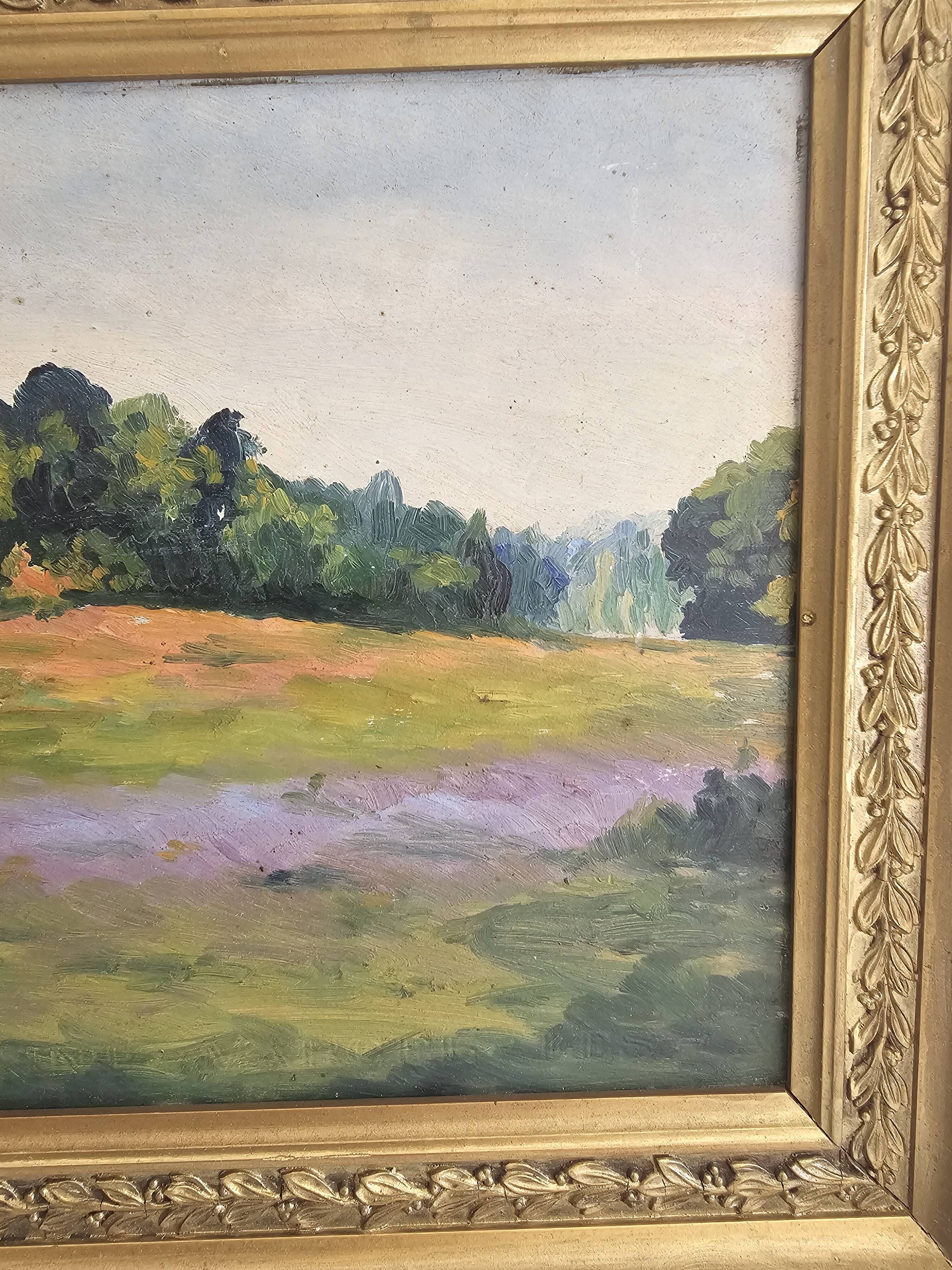 Oil Painting on Cardboard - Landscape of Flowering Hills - Not Signed