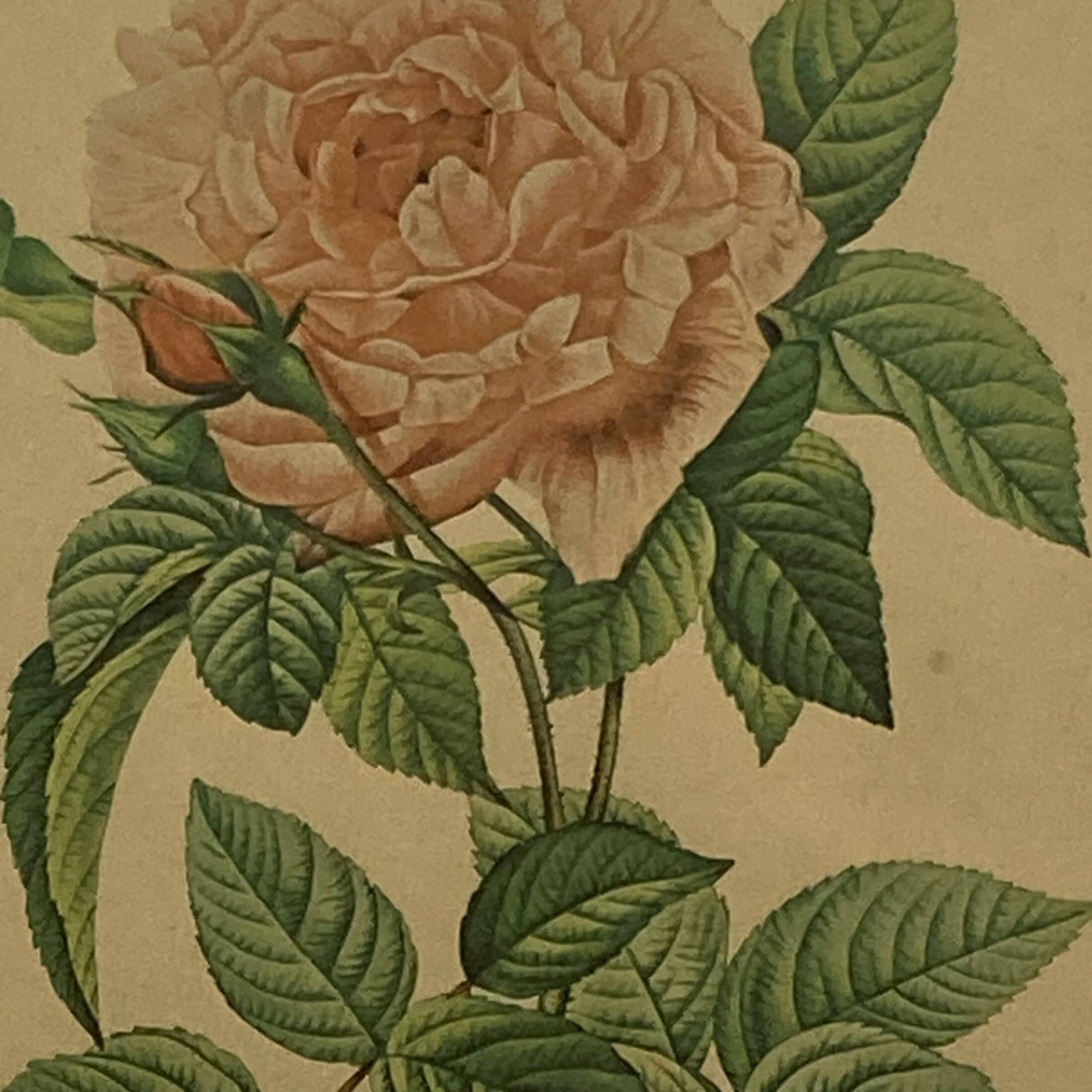 Old pink lithograph framed under glass Remond printing house ACC-7058