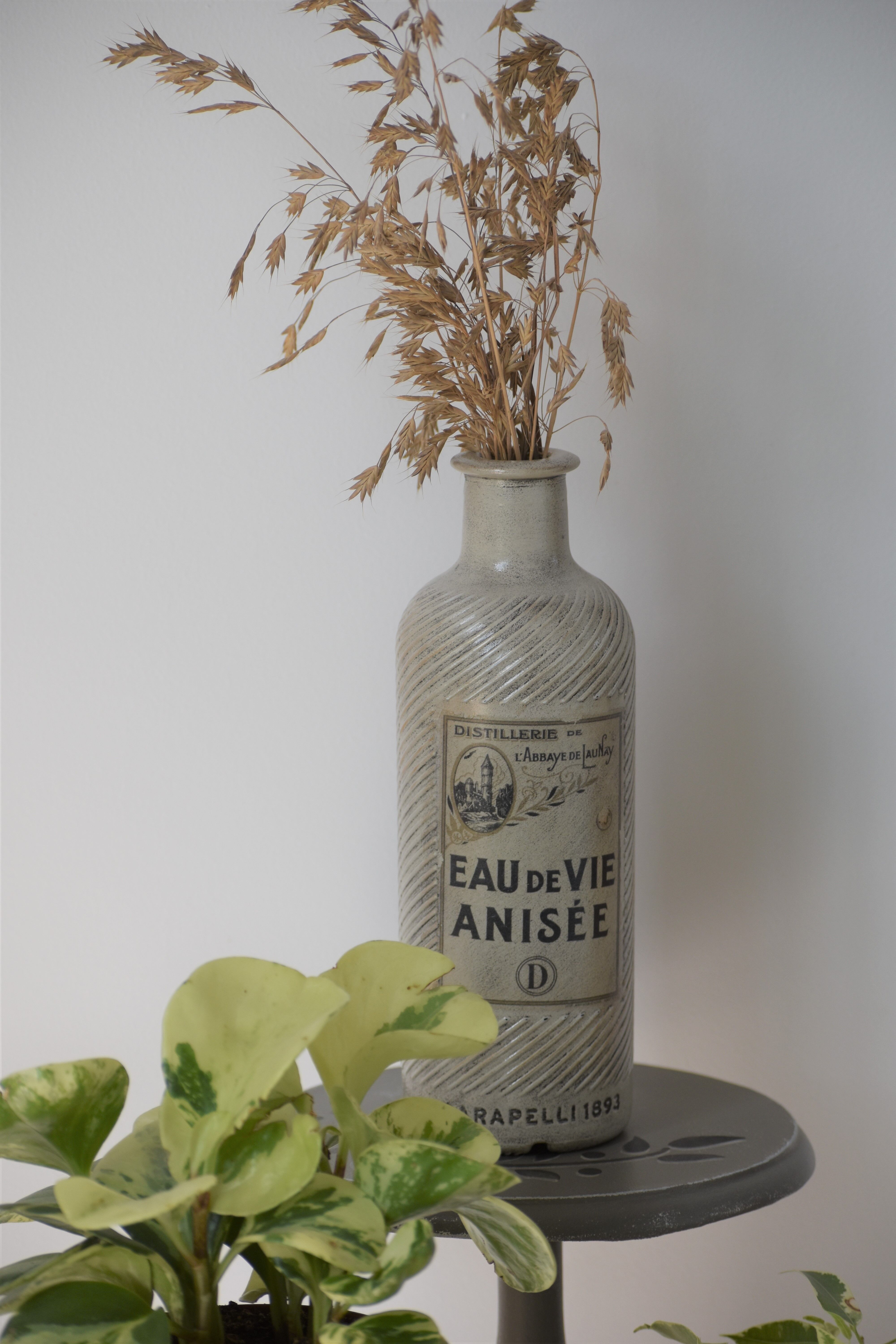 Revamped plant holder