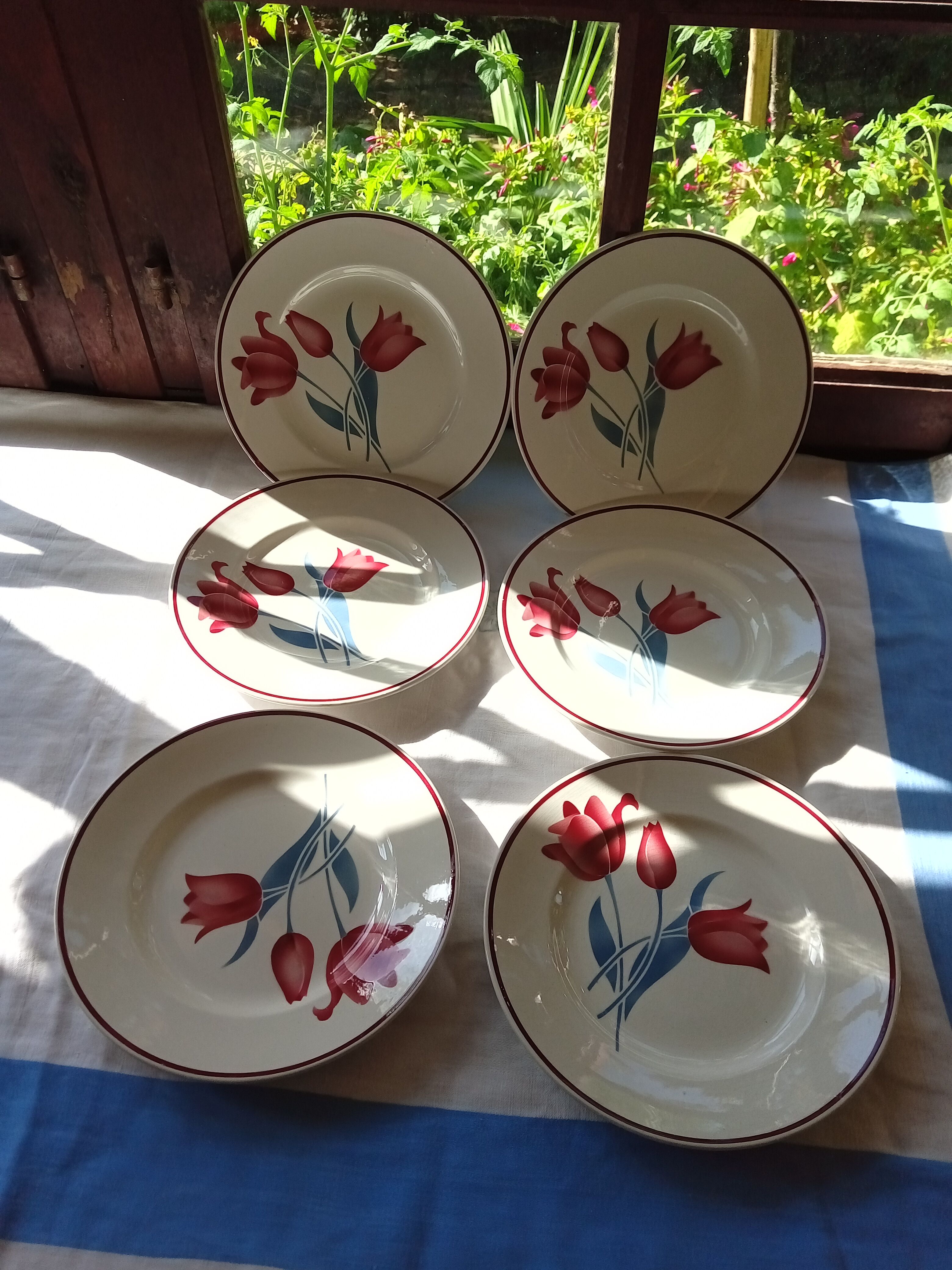 6 Terre de Fer flat plates
