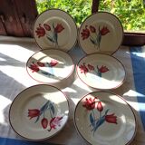 6 Terre de Fer flat plates