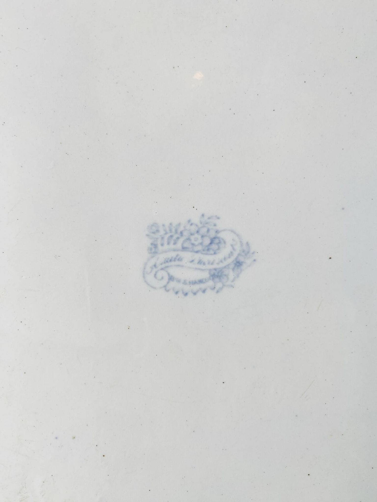 Grand plat ancien anglais « Asiatic Pheasants » – XIXe siècle