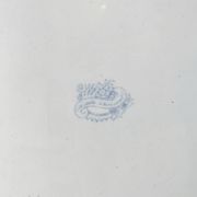 Grand plat ancien anglais « Asiatic Pheasants » – XIXe siècle