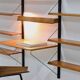 Rare Scandinavian Wall Mounted Plywood Shelving Unit 1950s