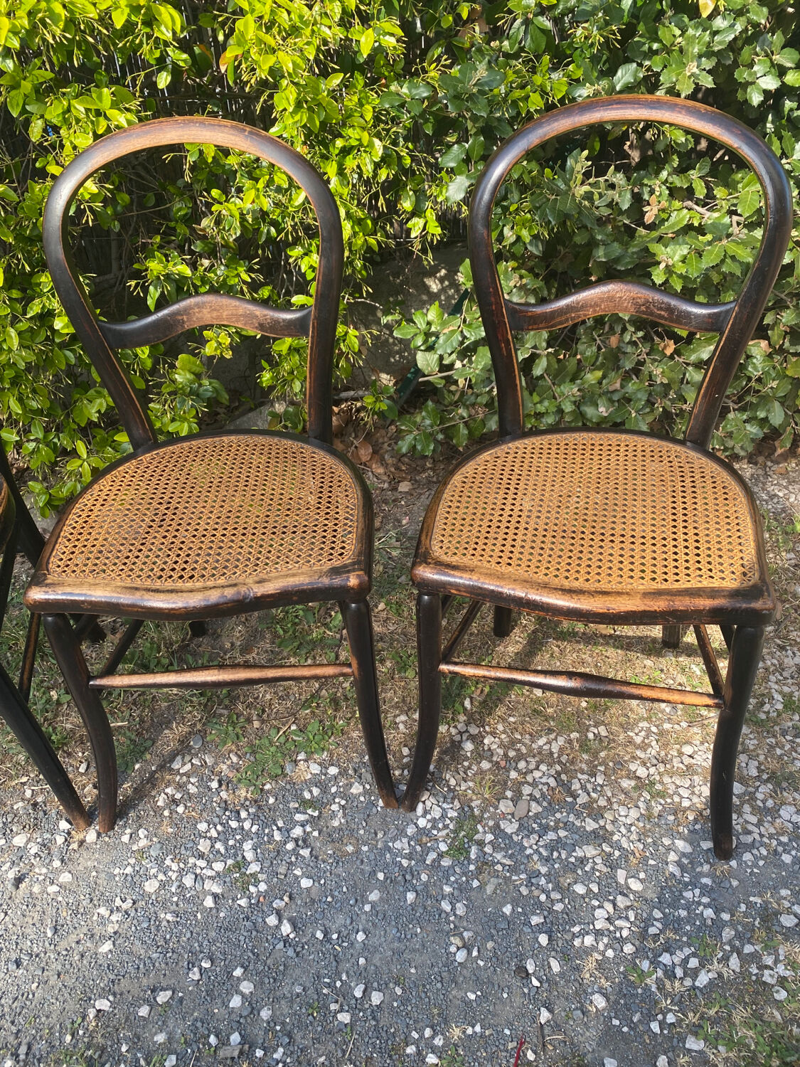 4 Napoleon III blackened wooden chairs