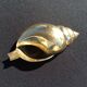 Shell brass ashtray