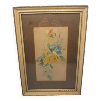 Old watercolor - stem of roses - framed