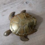 Empty brass turtle pocket