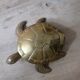 Empty brass turtle pocket