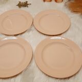 Set 6 hollow plates powder pink