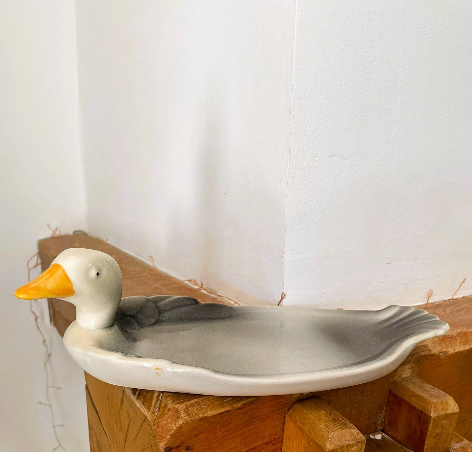 Plate barbotine duck / goose (French pottery)