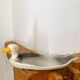 Plate barbotine duck / goose (French pottery)
