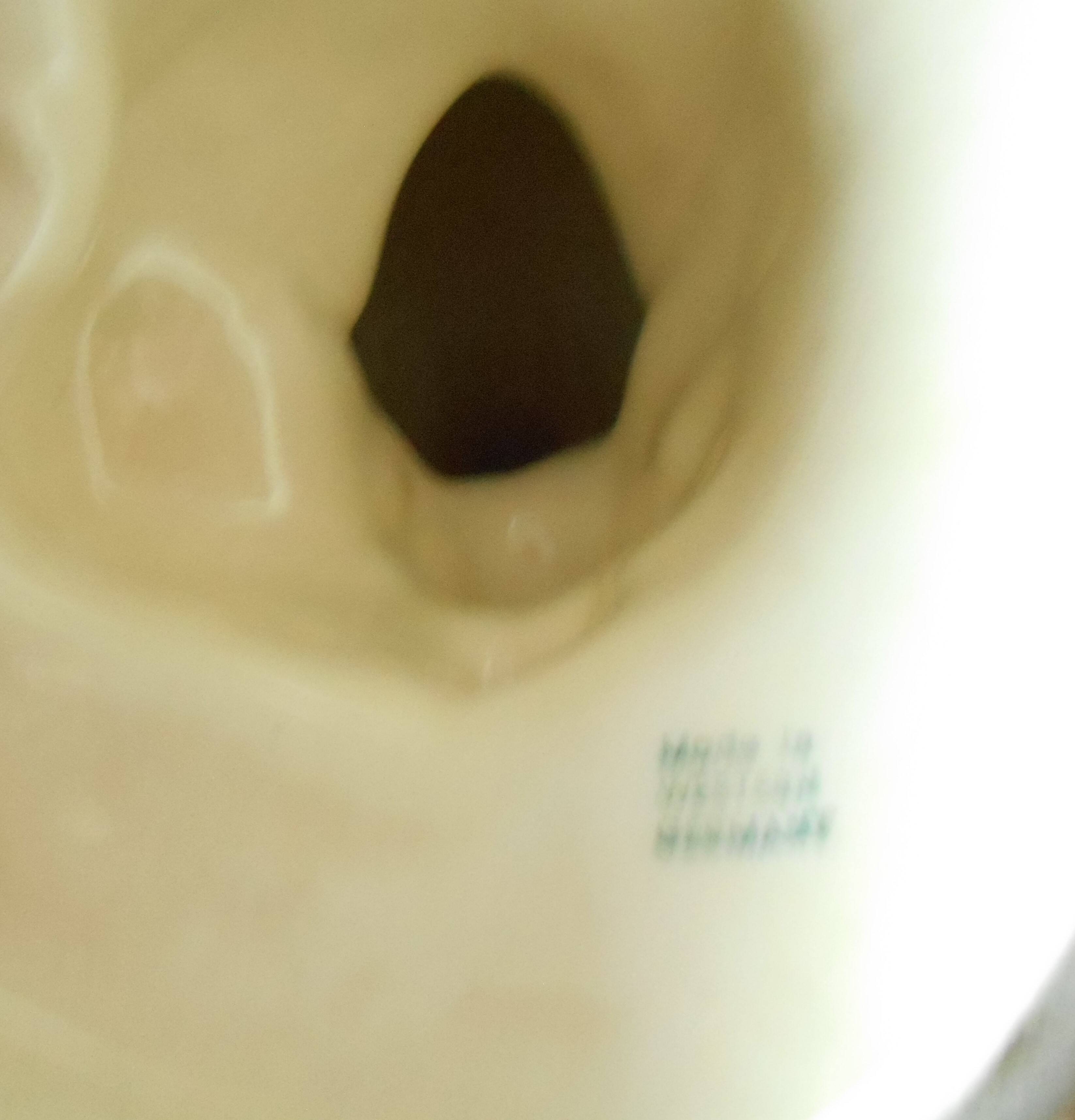 Pheasant in western germany earthenware