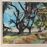 Landscape