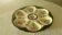 Assiette a huitre en faience de hb quimper