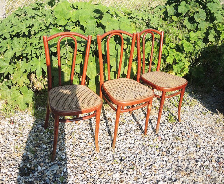 3 old bistro chairs cans thonet