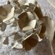 Ecru metal flower wall sconce