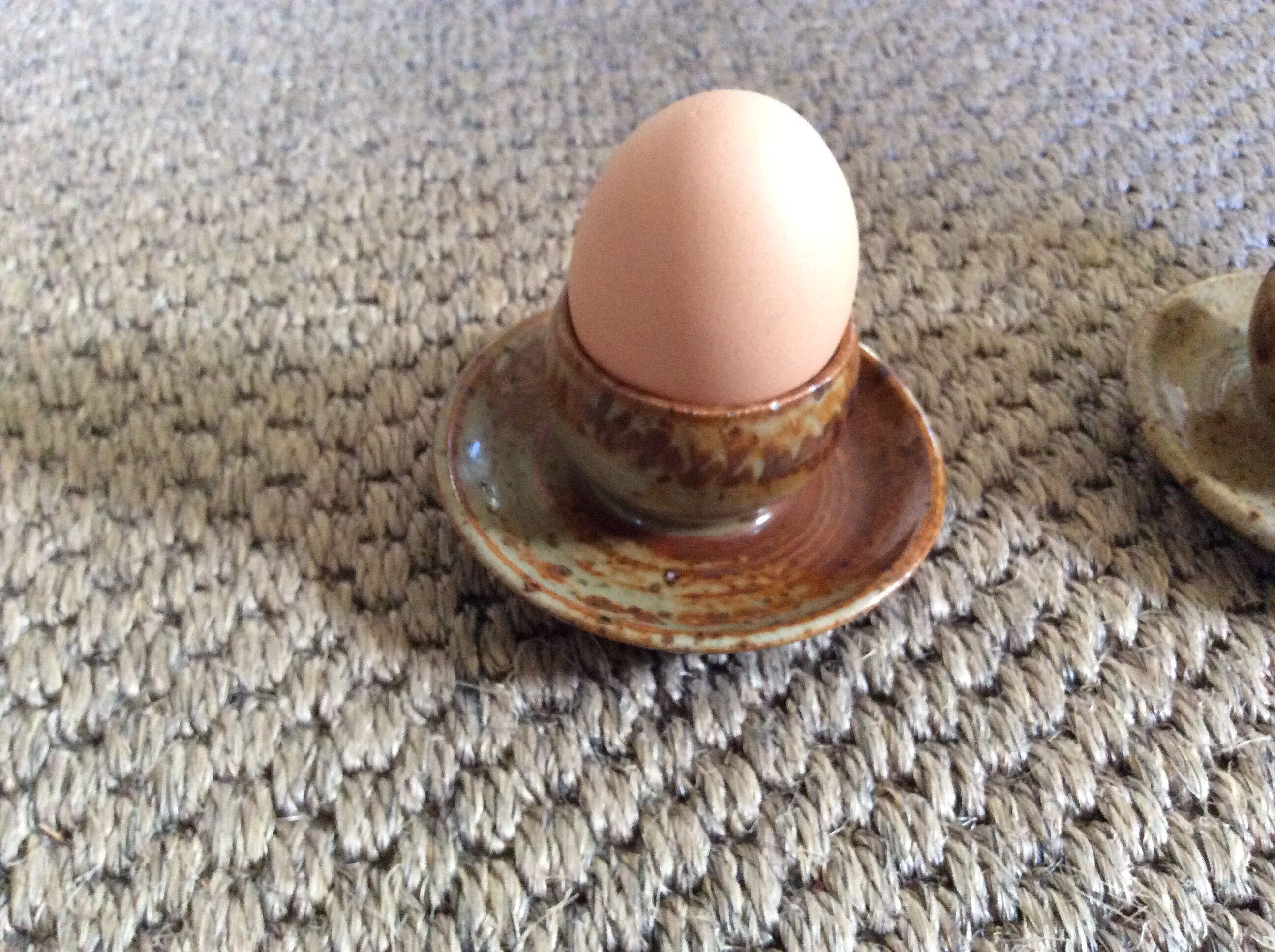 Series of 5 cockroaches