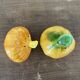 Vintage barbotine pepper and salt shaker in the shape of garlic and onion
