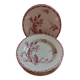 Set of 11 Gien plates
