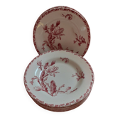 Set of 11 Gien plates