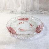 Cake dish serving pie peacock décor