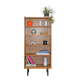 Vintage bookcase