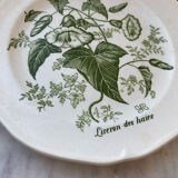 Gien plate