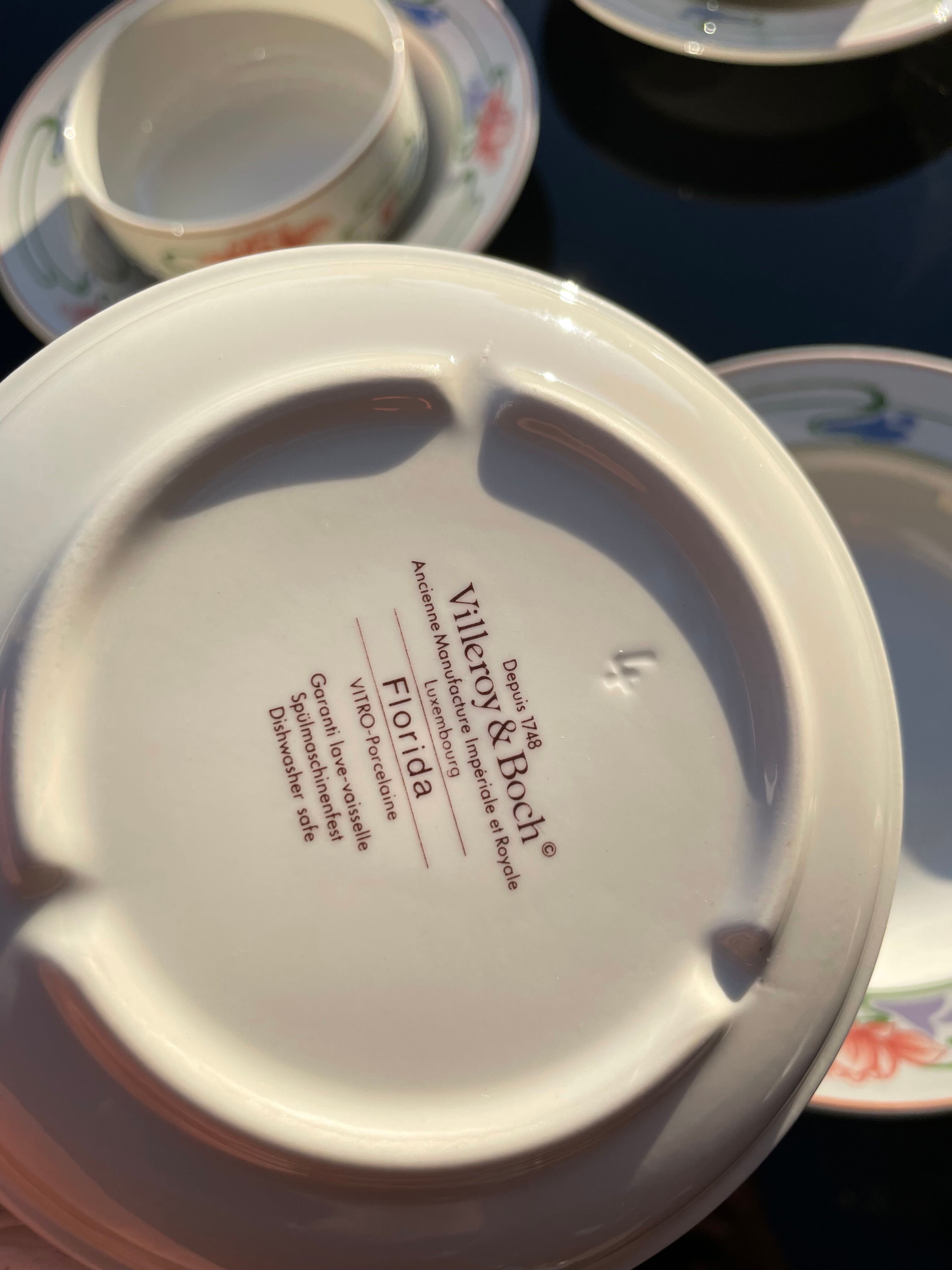 Set Hollow plates and ramekins Villeroy & Boch model FLORIDA