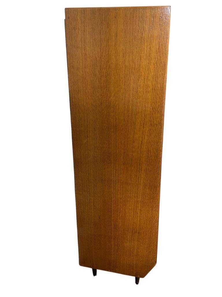 Vintage cabinet / bookcase / shelf
