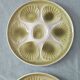 Lot of 8 vintage oyster plates moulin des loups - sage green - fran