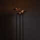 Brass ‚Papyrus‘ Floor Lamp by Nucci Valsecchi | Italy 1970s