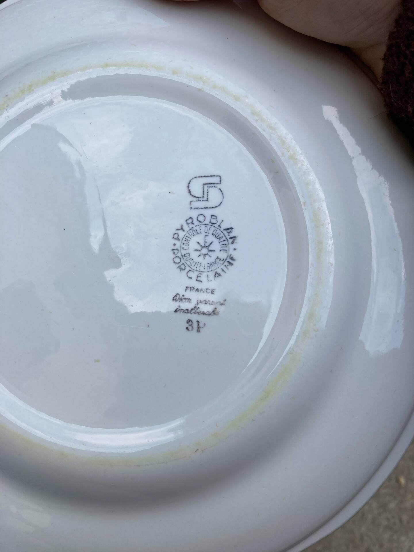 Sarreguemines plates paradise birds / Phoenix