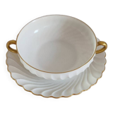 Havilland Limoges porcelain cup and saucer