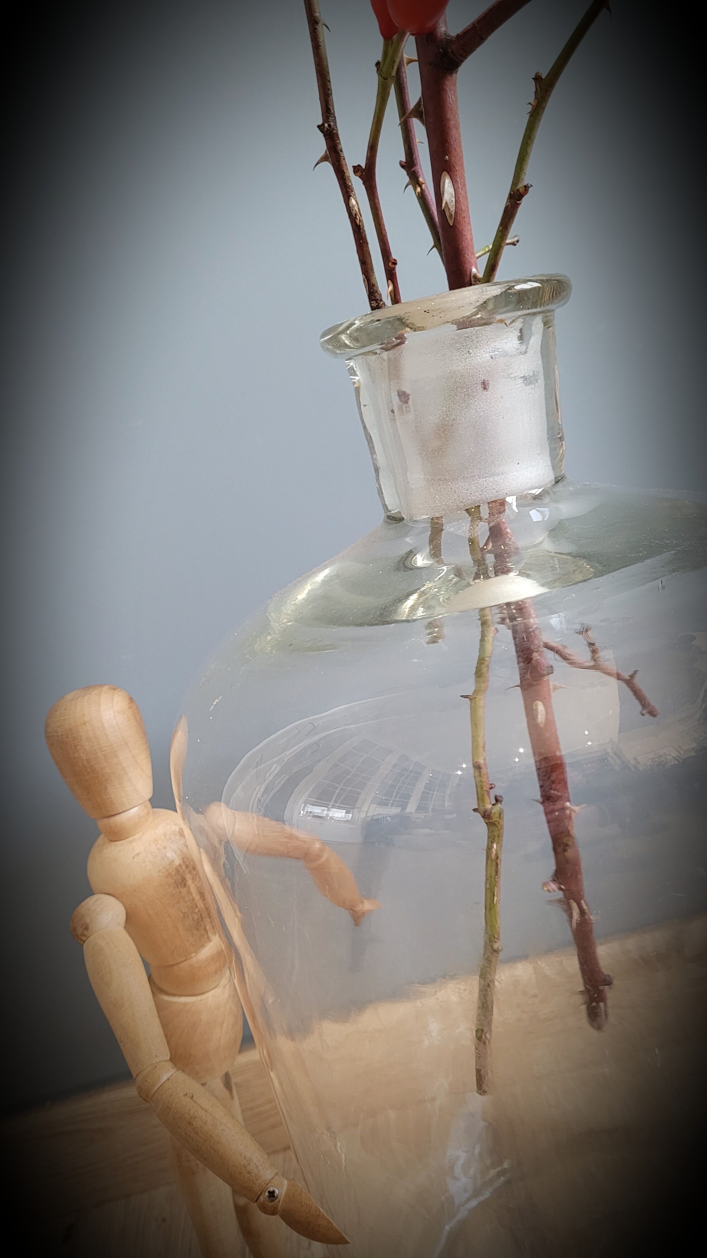 Transparent 10L apothecary bottle