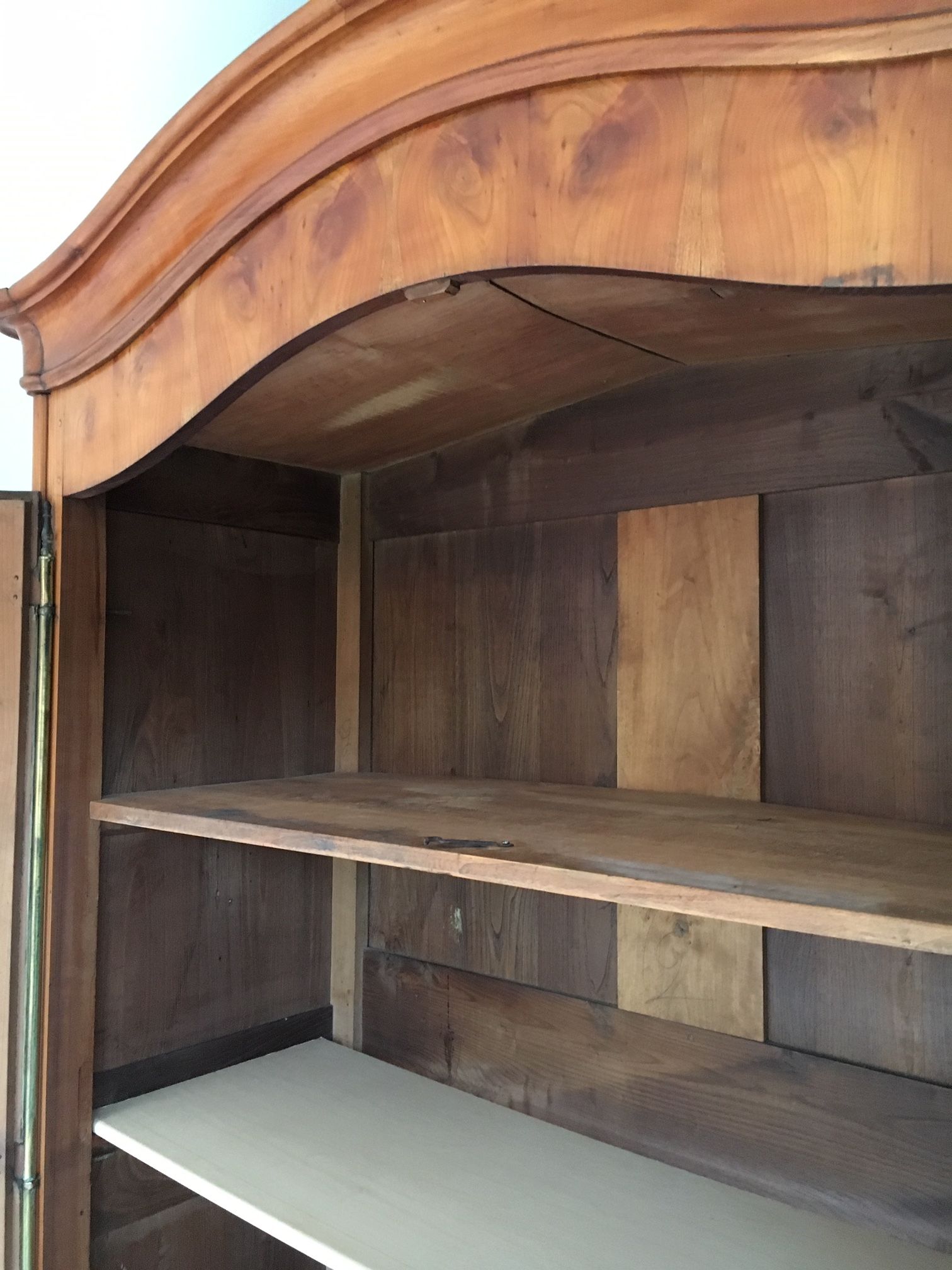 Mid-19th century cabinet of ferns in cherry and chestnut