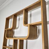 Room Divider by Ludvik Volak for Drevopodnik Holesov, 1950s