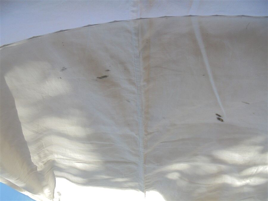 Oval mirror bevelled borders 60 x 43