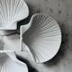 Set of 4 shell-shaped bowls