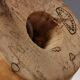 Danish lamp turned in pine wood with the most beautiful markings