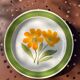 lot 3 Vintage Plates "Avallon Decor" Selected by KILT