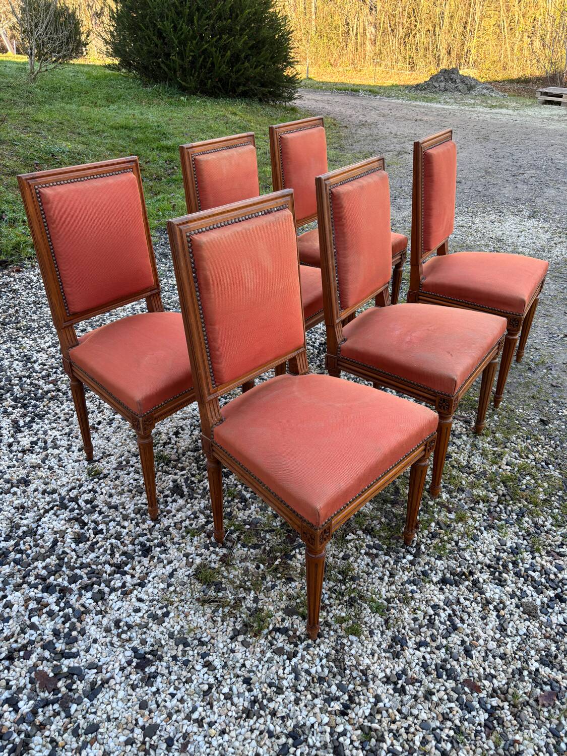 Louis XVI style chairs