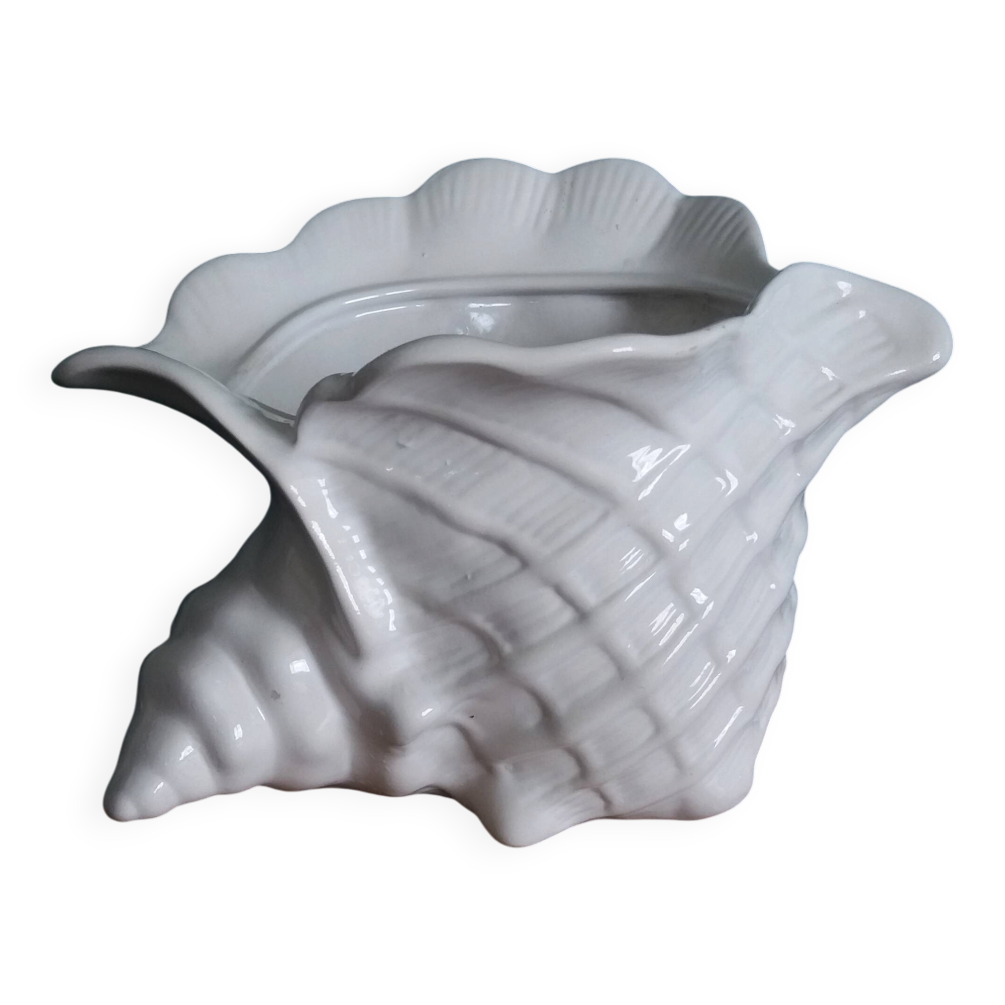 Ceramic conch shell, plant pot or trinket dish.