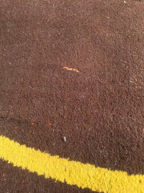 Carpet for Woolmark Foundation 1972