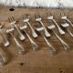 Guy Degrenne oyster forks