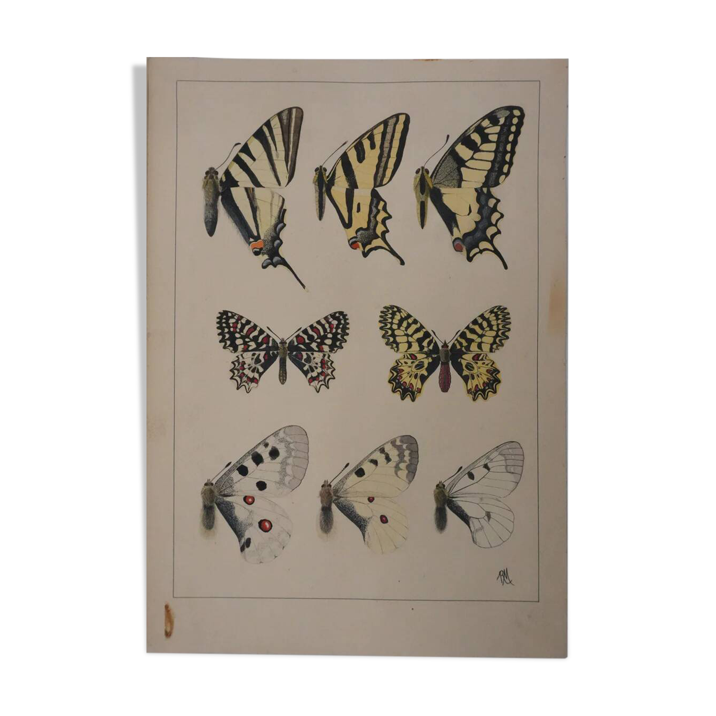 Roger metaye: yellow, black and white butterflies, original signed watercolour.