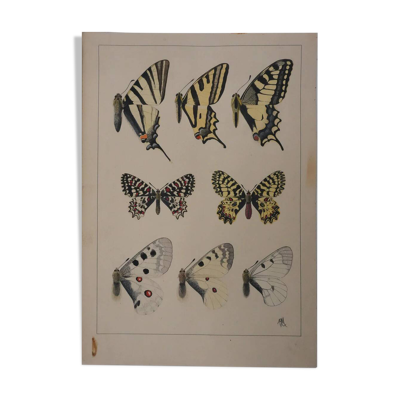 Roger metaye : papillons jaunes, noirs et blancs, aquarelle originale signée