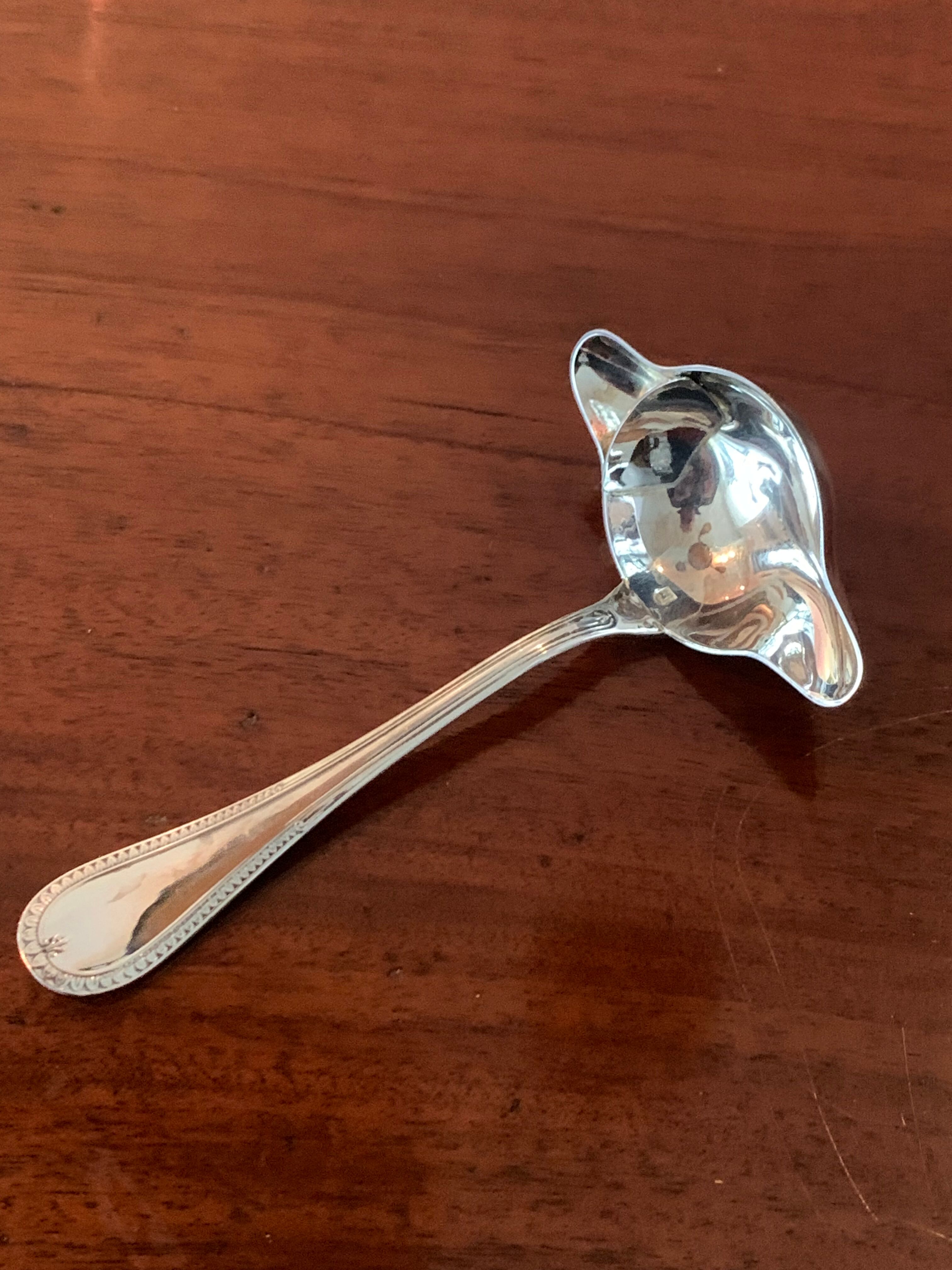 Lean fat sauce spoon